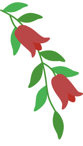 Copihue decorativo - flor nacional de Chile